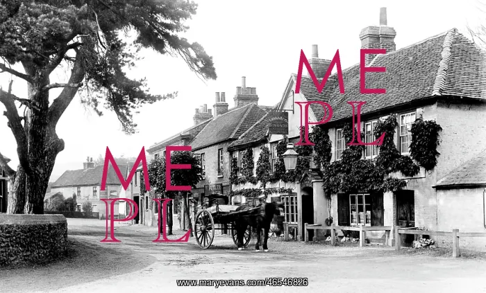  : Pangbourne, the Village 1893