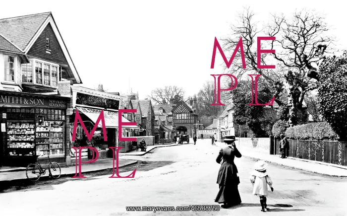  : Pangbourne, the Village 1910