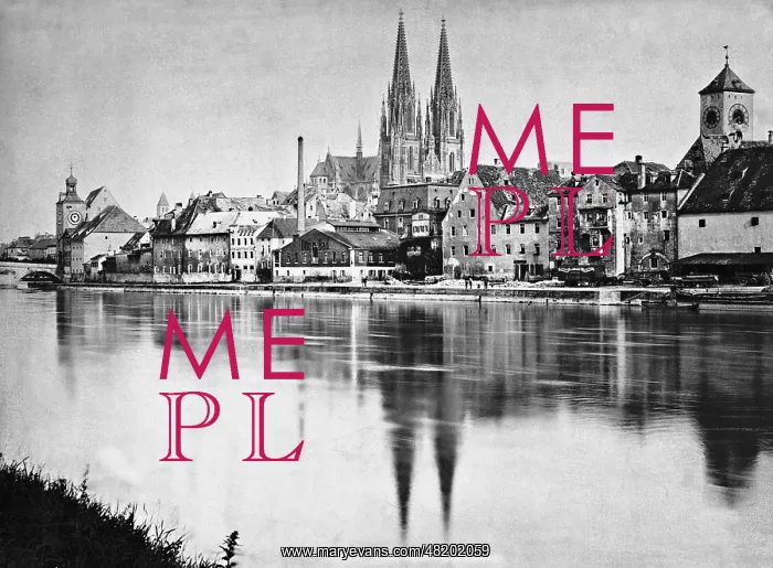 : Panorama of Regensburg : Panorama of Regensburg