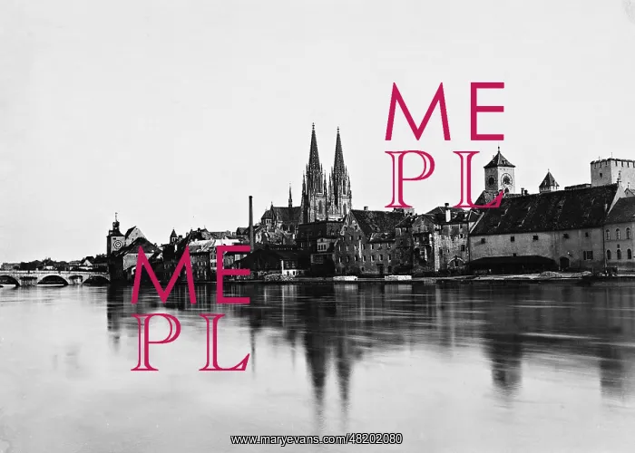 : Panorama of Regensburg : Panorama of Regensburg