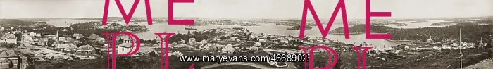 : Panorama of Sydney : Panorama of Sydney