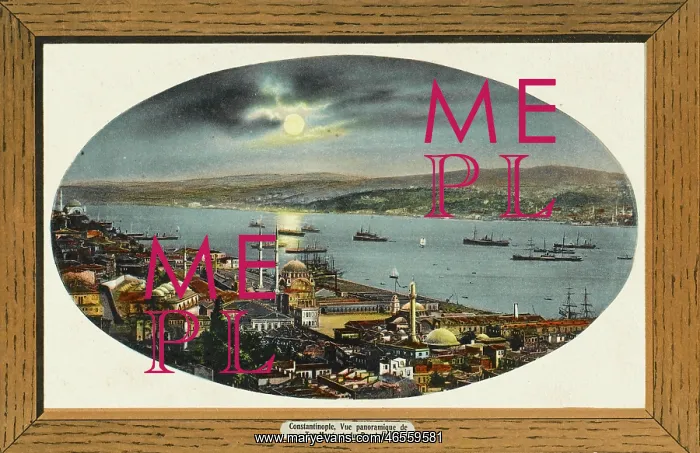: Panorama - Tophane & Bosphous, Constantinople : Panorama - Tophane & Bosphous, Constantinople