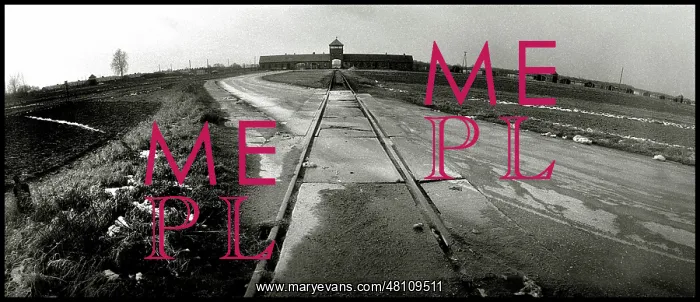 : Panoramic view of Auschwitz-Birkenau : Panoramic view of Auschwitz-Birkenau