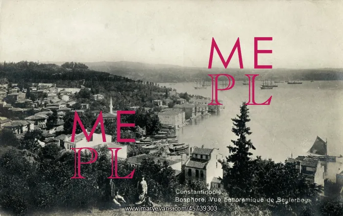 : Panoramic View of Beylerbeyi and the Bosphorus, Istanbul : Panoramic View of Beylerbeyi and the Bosphorus, Istanbul