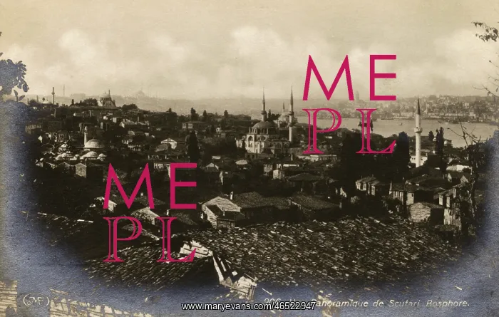  : Panoramic View over the Bosphorus from Uskudar, Istanbul