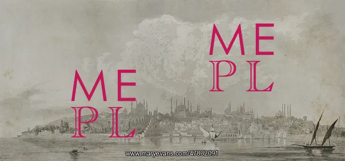 : Panoramic view of Constantinople with the Seraglio Point : Panoramic view of Constantinople with the Seraglio Point
