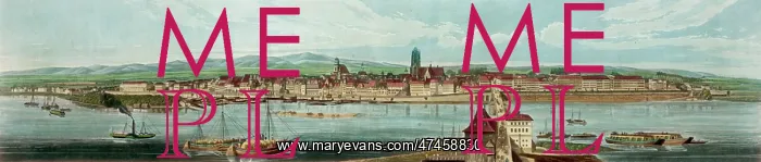  : Panoramic view of Frankfort. On the Maine