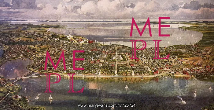  : Panoramic View of Madison, Wisconsin 1908