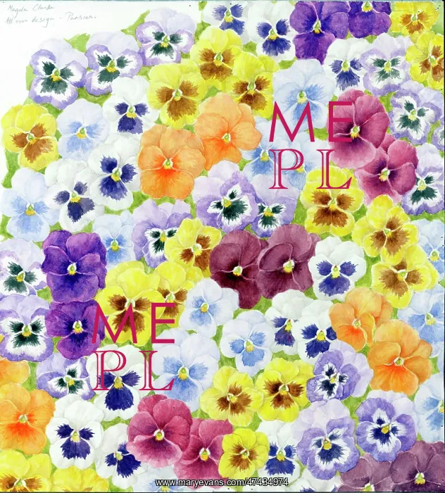  : Pansies - all over design