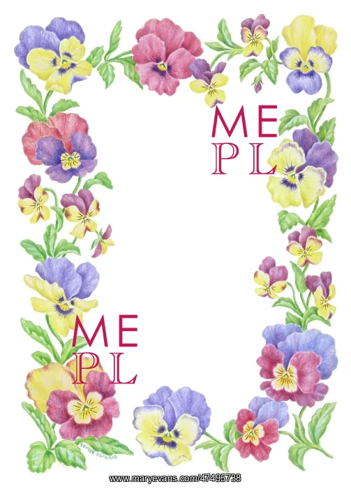  : Pansies ? border design