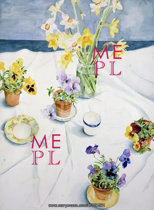 : Pansies and Daffodils on white tablecloth : Pansies and Daffodils on white tablecloth