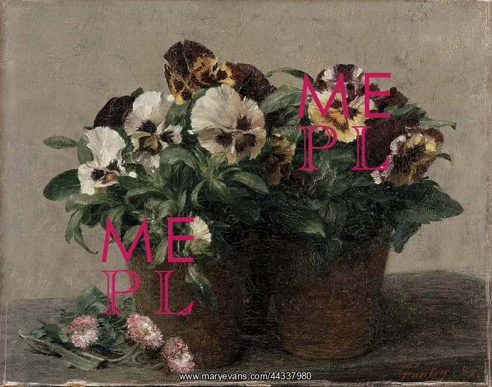 : Pansies and Daisies still life : Pansies and Daisies still life