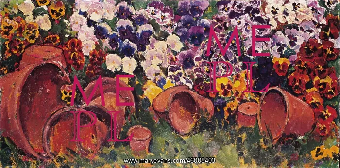  : Pansies with flower pots