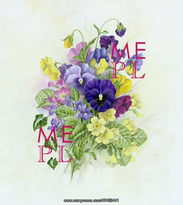  : Pansies, Primulas and Violets