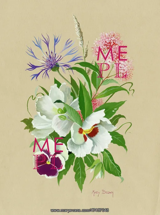  : Pansy, cornflower etc