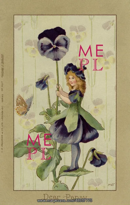 : Pansy fairy : Pansy fairy
