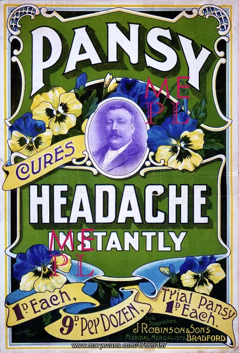  : Pansy headache pills