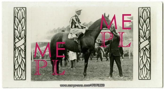 : Pantheon, Australian race horse : Pantheon, Australian race horse