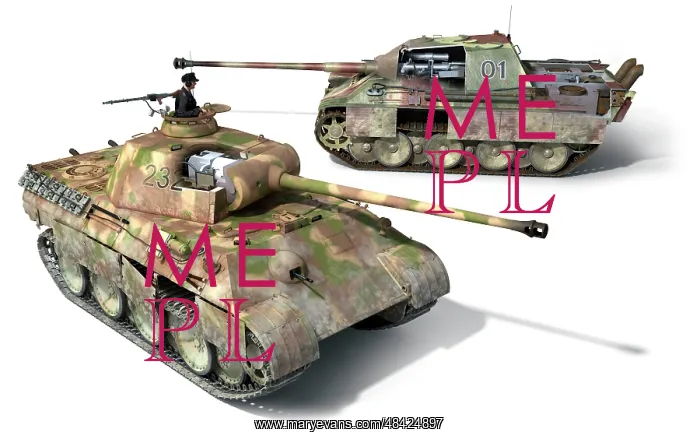 : The Panther Ausf G and the tank destroyer version : The Panther Ausf G and the tank destroyer version