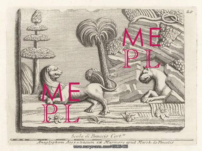 : A panther emerging from a Libyan cave to attack a lion : A panther emerging from a Libyan cave to attack a lion