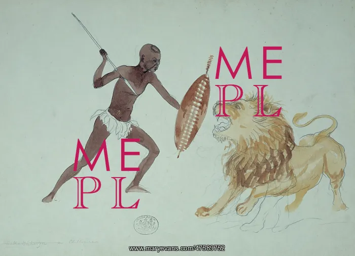 : Panthera leo, lion : Panthera leo, lion