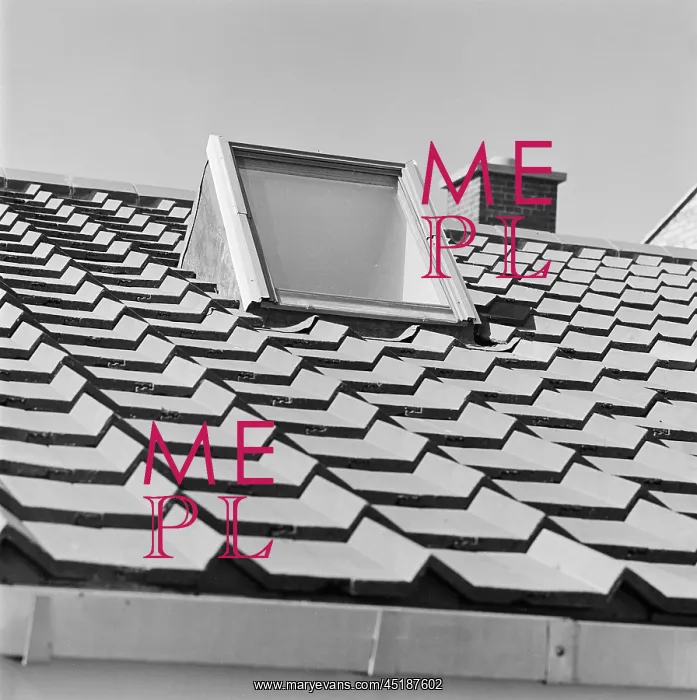 : Roof. Detail of pantiles and rooflight : Roof. Detail of pantiles and rooflight
