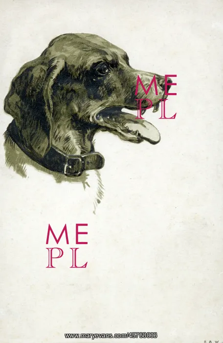 : A panting dog : A panting dog
