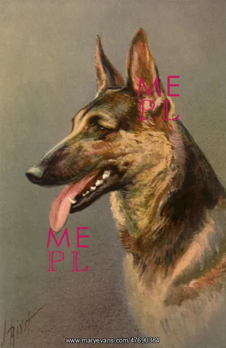  : Panting Wolfhound