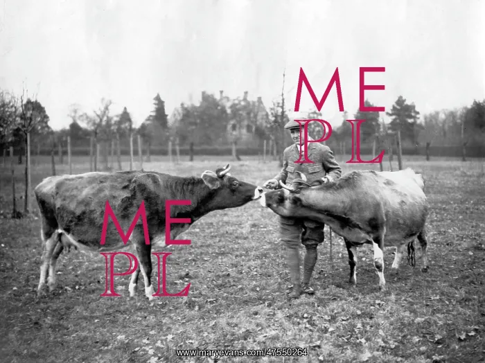 : Pantomime artist Will Evans on his farm : Pantomime artist Will Evans on his farm