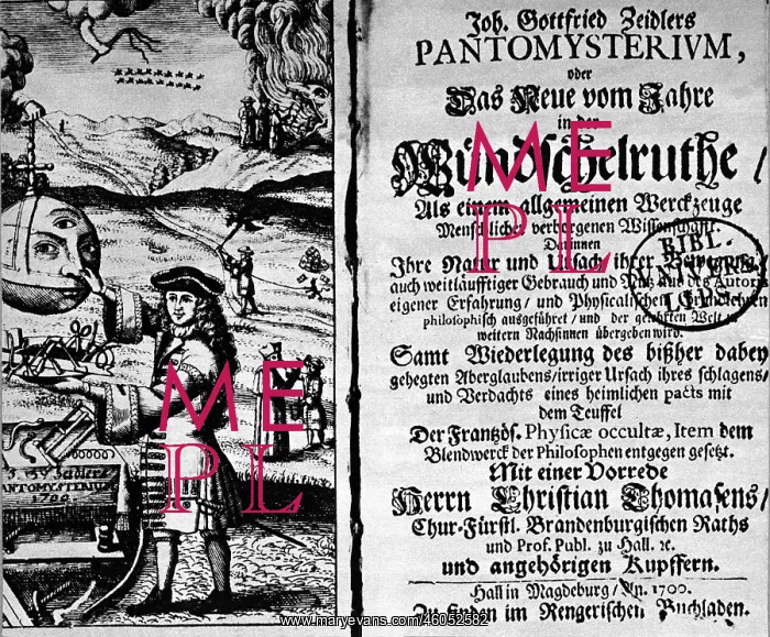 : Pantomysterium : Pantomysterium