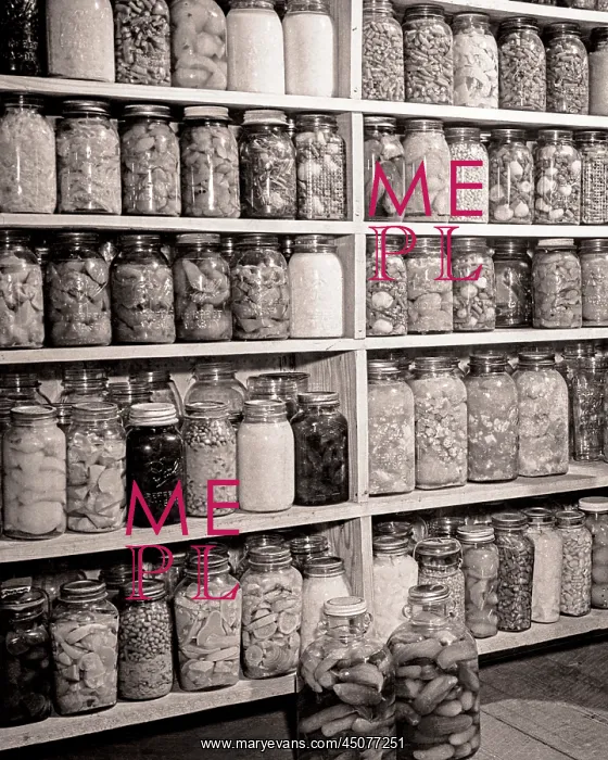 : Pantry Wall Harvested and Canned Goods Vegetables and : Pantry Wall Harvested and Canned Goods Vegetables and