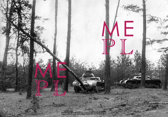 : Panzer I during a field exercise in the 30s : Panzer I during a field exercise in the 30s