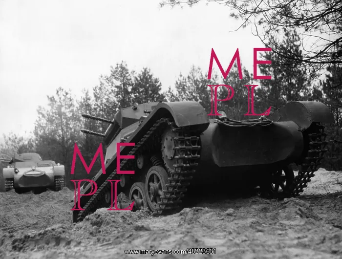 : Panzer I on a military training area in the 30s : Panzer I on a military training area in the 30s