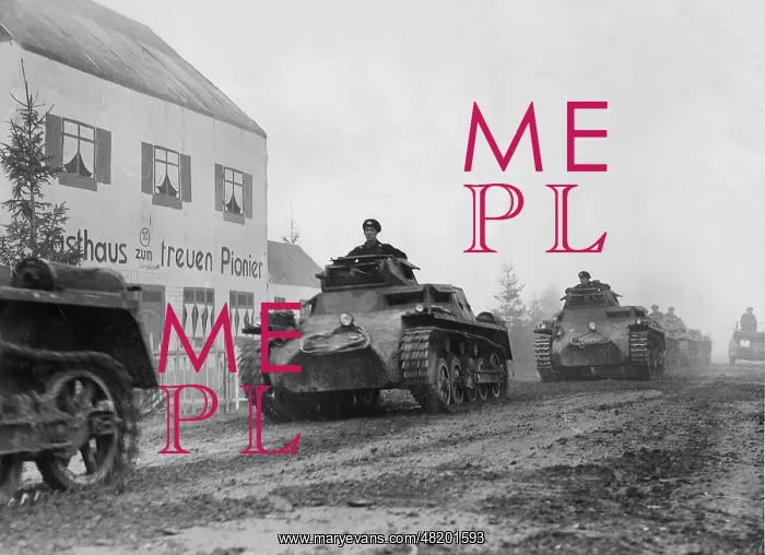 : Panzer I tanks of the armed forces on maneuvers, 1935 : Panzer I tanks of the armed forces on maneuvers, 1935