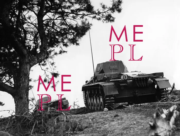 : Panzer II of a military school, 1938 : Panzer II of a military school, 1938