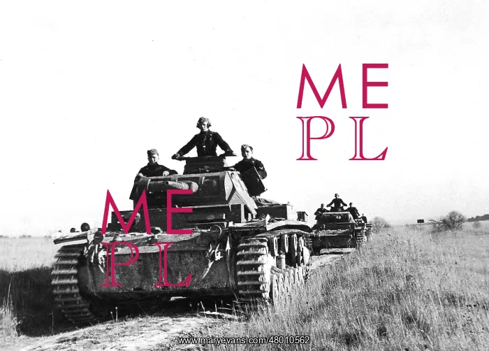 : Panzer III E in France : Panzer III E in France