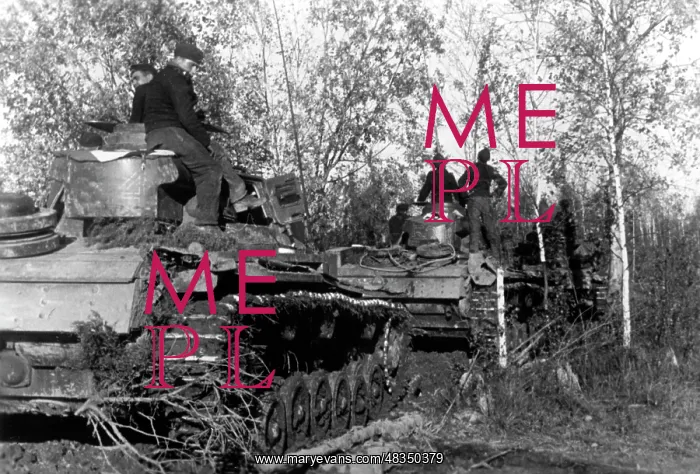 : Panzer III at Lake Ilmen, 1943 : Panzer III at Lake Ilmen, 1943