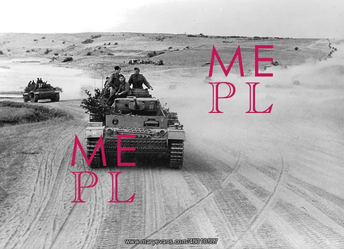 : Panzer III M on a Russian runway : Panzer III M on a Russian runway