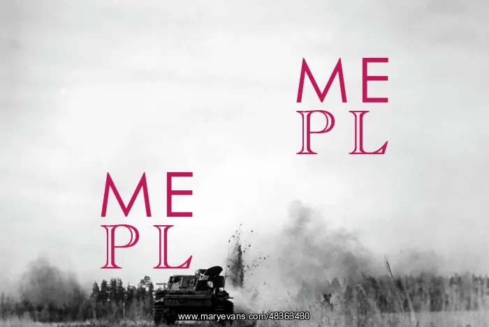: Panzer IV on Lake Ilmen, 1942 : Panzer IV on Lake Ilmen, 1942