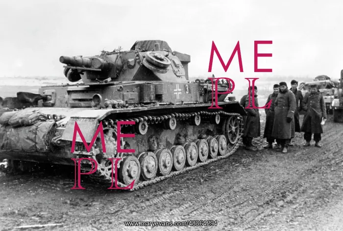 : Panzer IV - tank on the Volkhov, 1941 : Panzer IV - tank on the Volkhov, 1941