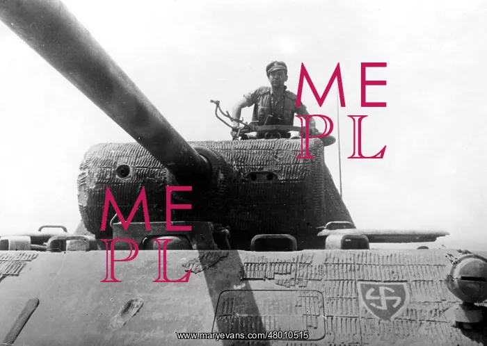 : Panzer V Panther : Panzer V Panther