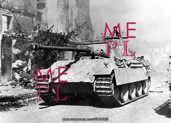 : Panzer V Tank : Panzer V Tank