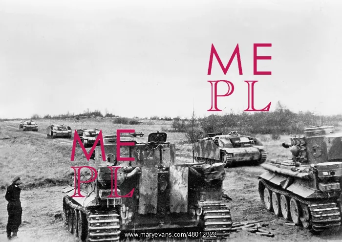 : Two Panzer VI Tiger : Two Panzer VI Tiger
