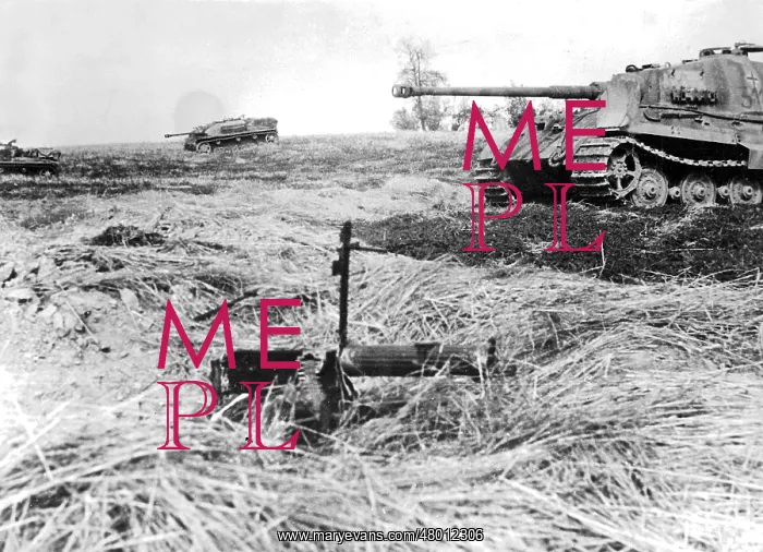 : Panzer VI Tiger II on the Eastern front, 1944 : Panzer VI Tiger II on the Eastern front, 1944