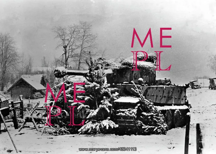 : Panzer VI Tiger on the Western Front, 1944 : Panzer VI Tiger on the Western Front, 1944