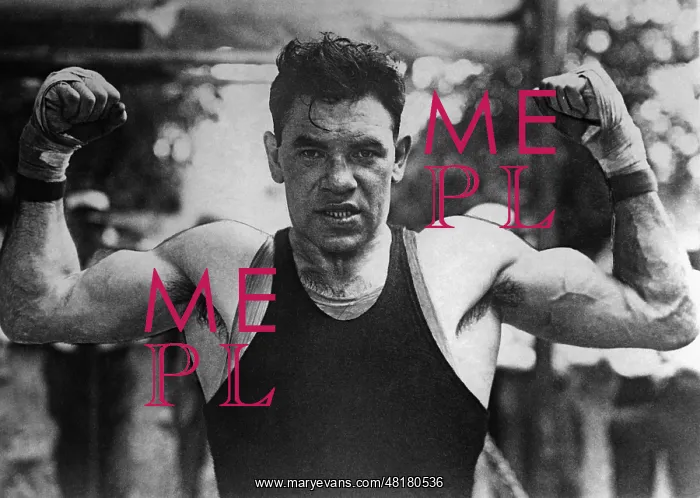 : Paolino, Boxer : Paolino, Boxer