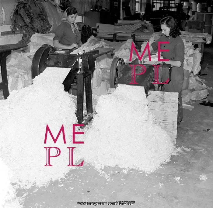 : Paper mill : Paper mill