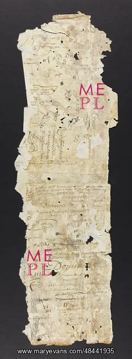 : Paper and Parchment Binding Fragments : Paper and Parchment Binding Fragments