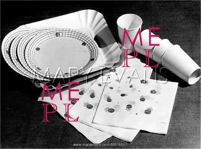 : PAPER PICNIC SET : PAPER PICNIC SET