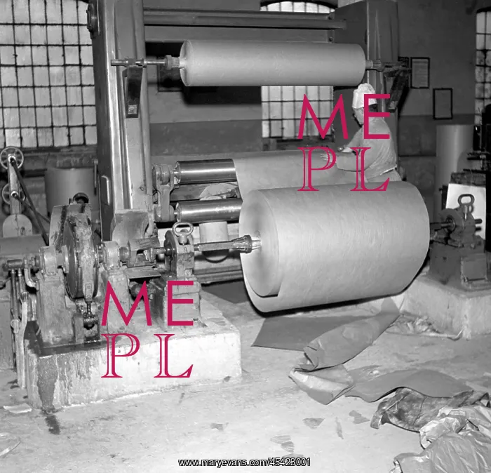 : Paper mill - rolls of new paper : Paper mill - rolls of new paper